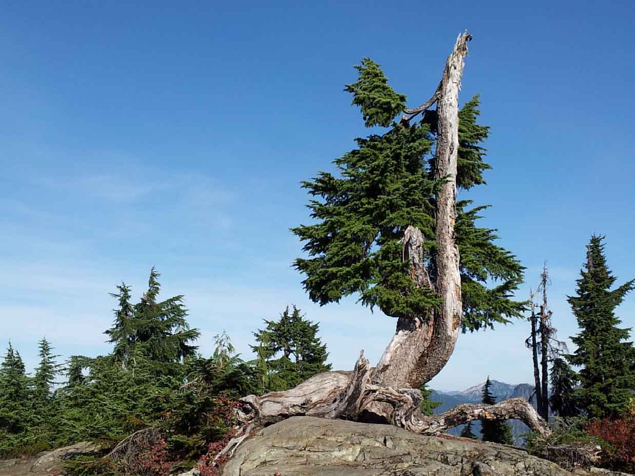 Cypress Provincial Park  West Vancouver Colombie-Britannique